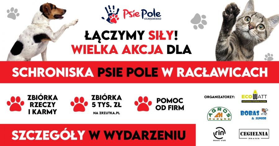 Akcja pomocy dla Schroniska Psie Pole w Racławicach!
